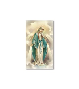 Pacco da 100 pezzi di: Santino Madonna Miracolosa con preghiera