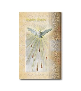 Biglietto con biografia e preghiera allo Spirito Santo in confezione da 20 pezzi