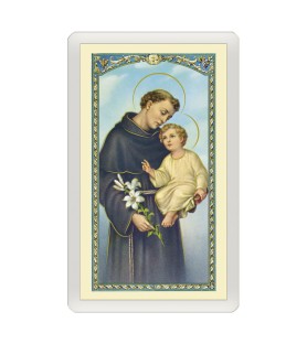 Confezione da 25 pezzi di un  Santino Plastificato Sant'Antonio da Padova con preghiera a colori