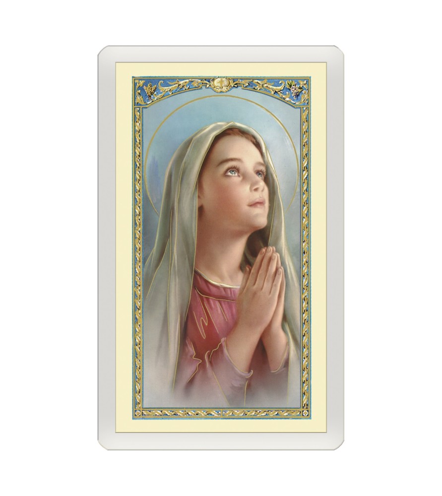 Confezione da 25 pezzi di un  Santino Plastificato Madonnina che prega con preghiera a colori