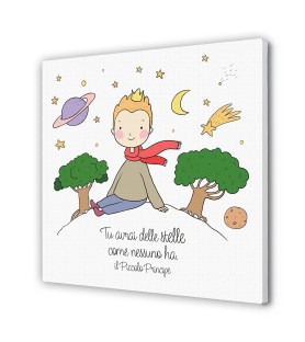 Tela 30x30 cm del Piccolo Principe con pianeta