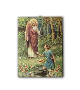 Tela pittorica intelaiata di San Raffaele
