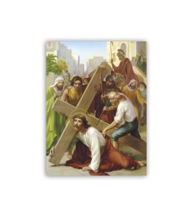 La Via Crucis di Vicentini