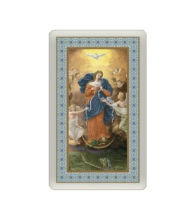 Confezione da 25 pezzi di: Santino Plastificato della Madonna dei Nodi - FORMATO Cm 7 X 11,5